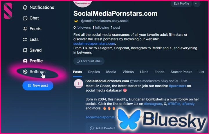 How to Enable Adult Content on the BlueSky Social Media Platform? (A Step-by-Step Guide)