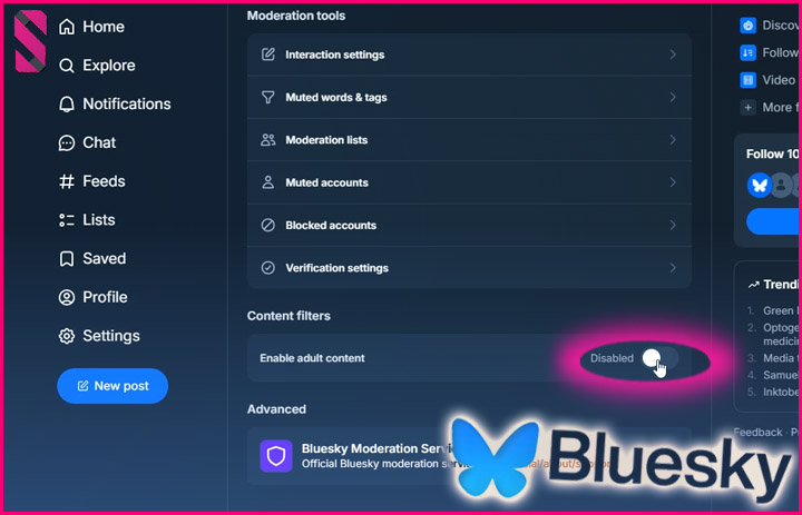 How to Enable Adult Content on the BlueSky Social Media Platform? (A Step-by-Step Guide)