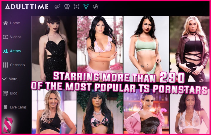 290+ of the most popular TS pornstars