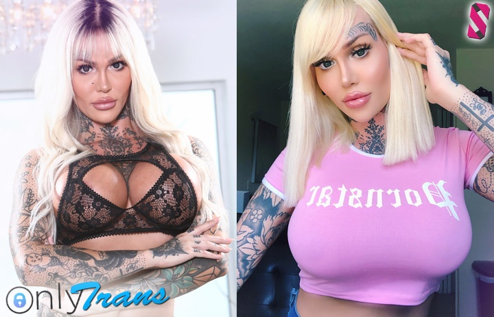 Huge Shemale Stars - Top 20 Best Shemale Pornstars to Follow on OnlyFans (2023)